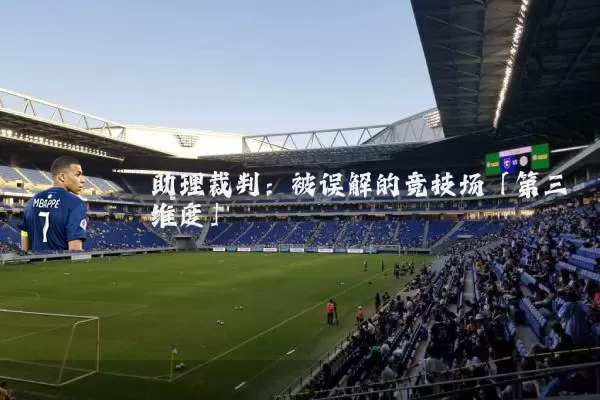 助理裁判:被误解的竞技场「第三维度」